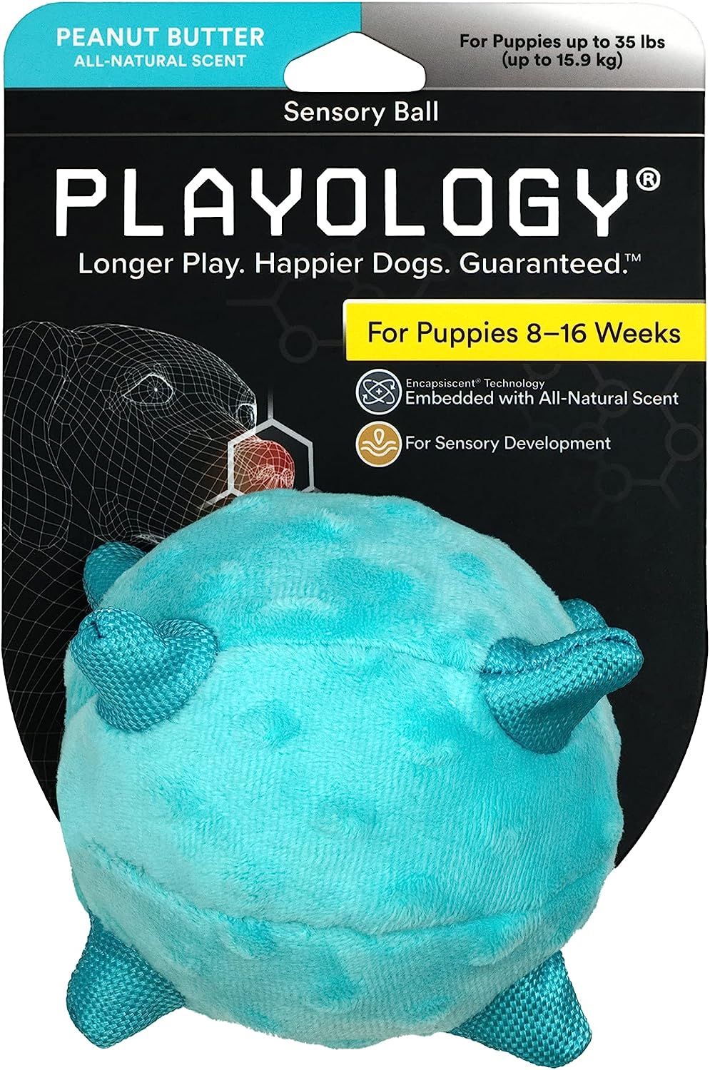 toy dog toys